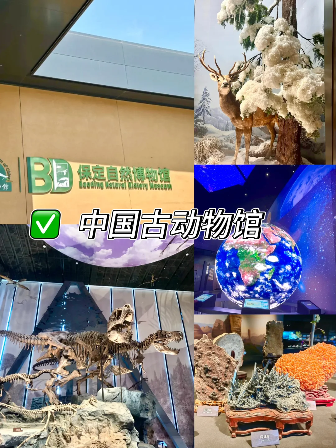 📍48h玩转保定|小众不踩雷攻略