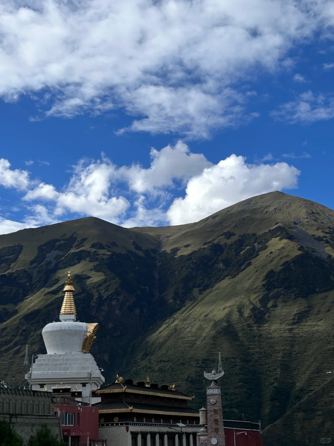 36岁开启旷野人生