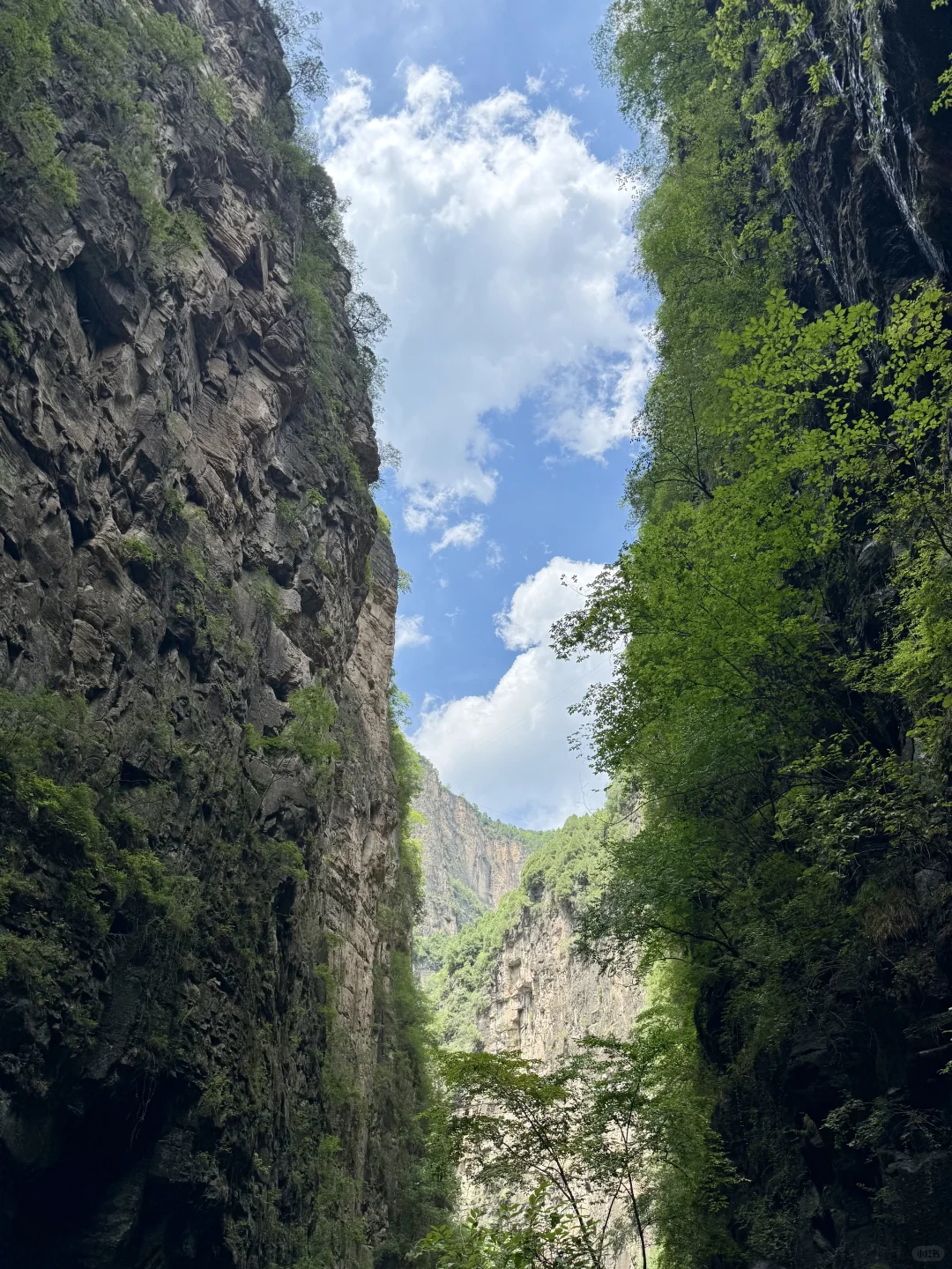 冲进山西25℃翡翠峡谷💦 懒人3h避暑攻略！