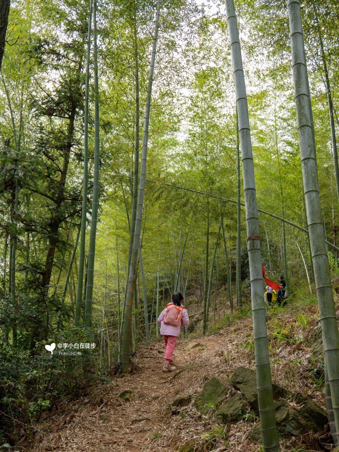 宜兴真的不用避坑！推荐7个小众免费景点