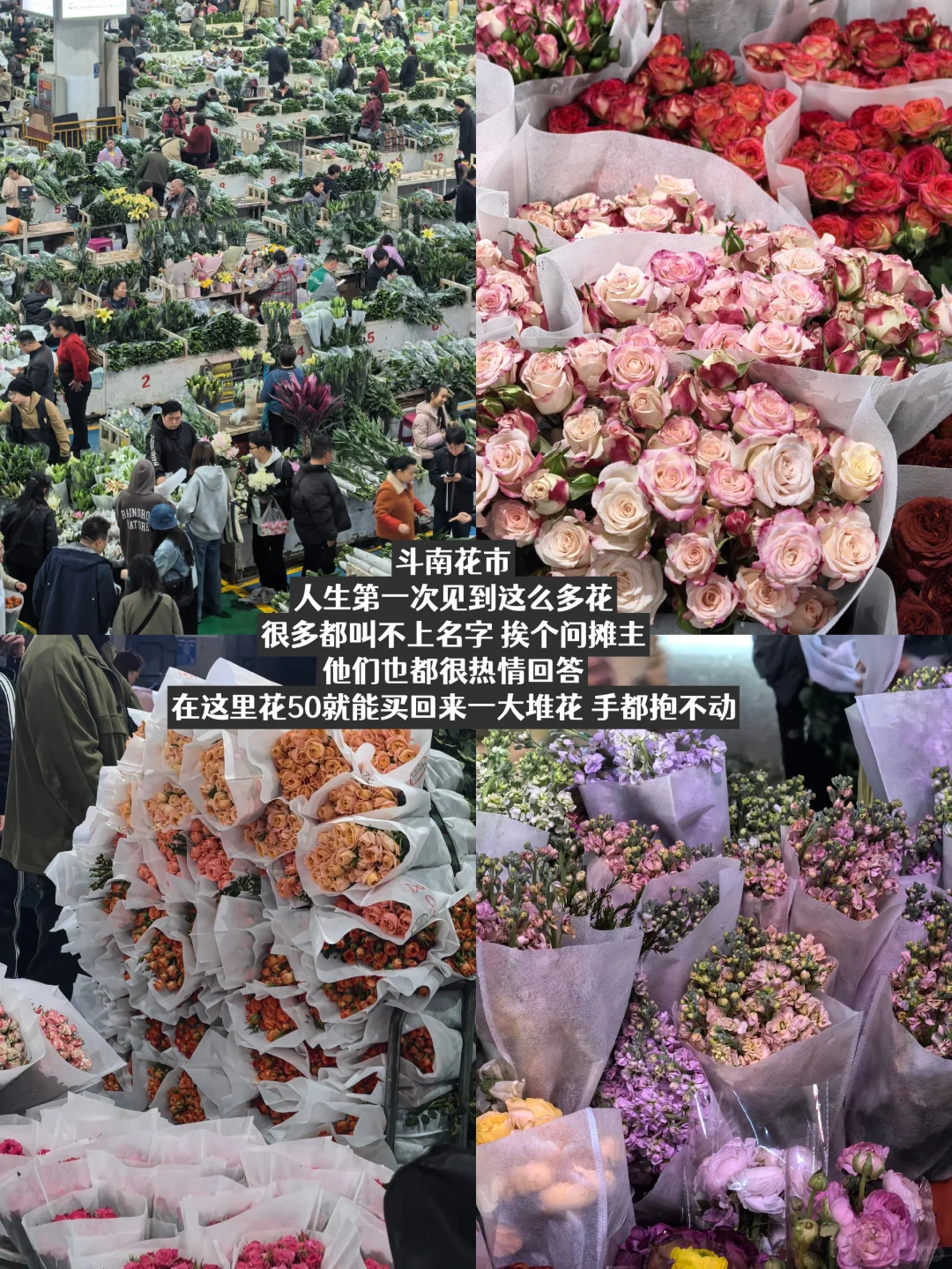 一个人旅行 | 在昆明的三天两夜