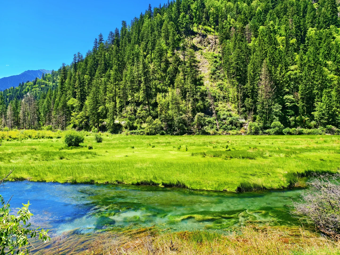 8.14九寨沟实况，人多但是景区调度很强大