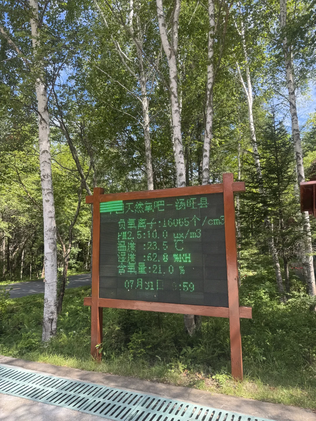 汤旺河攻略｜6大景区放弃2个，一天玩透精华