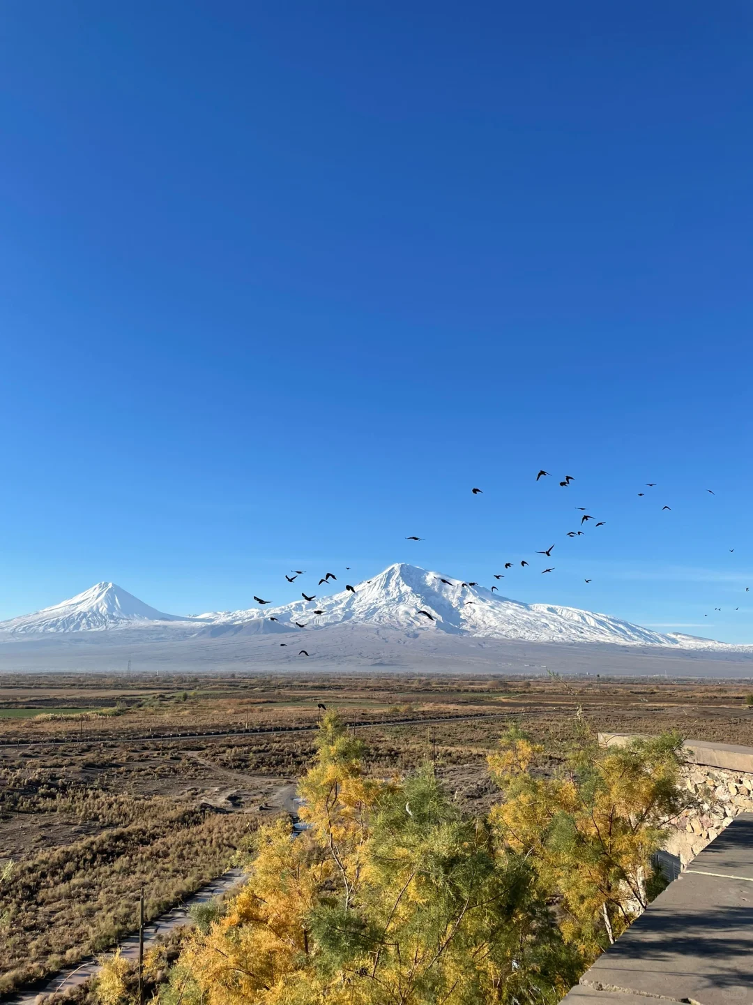 花2万多旅行十几国，我是怎么做到的