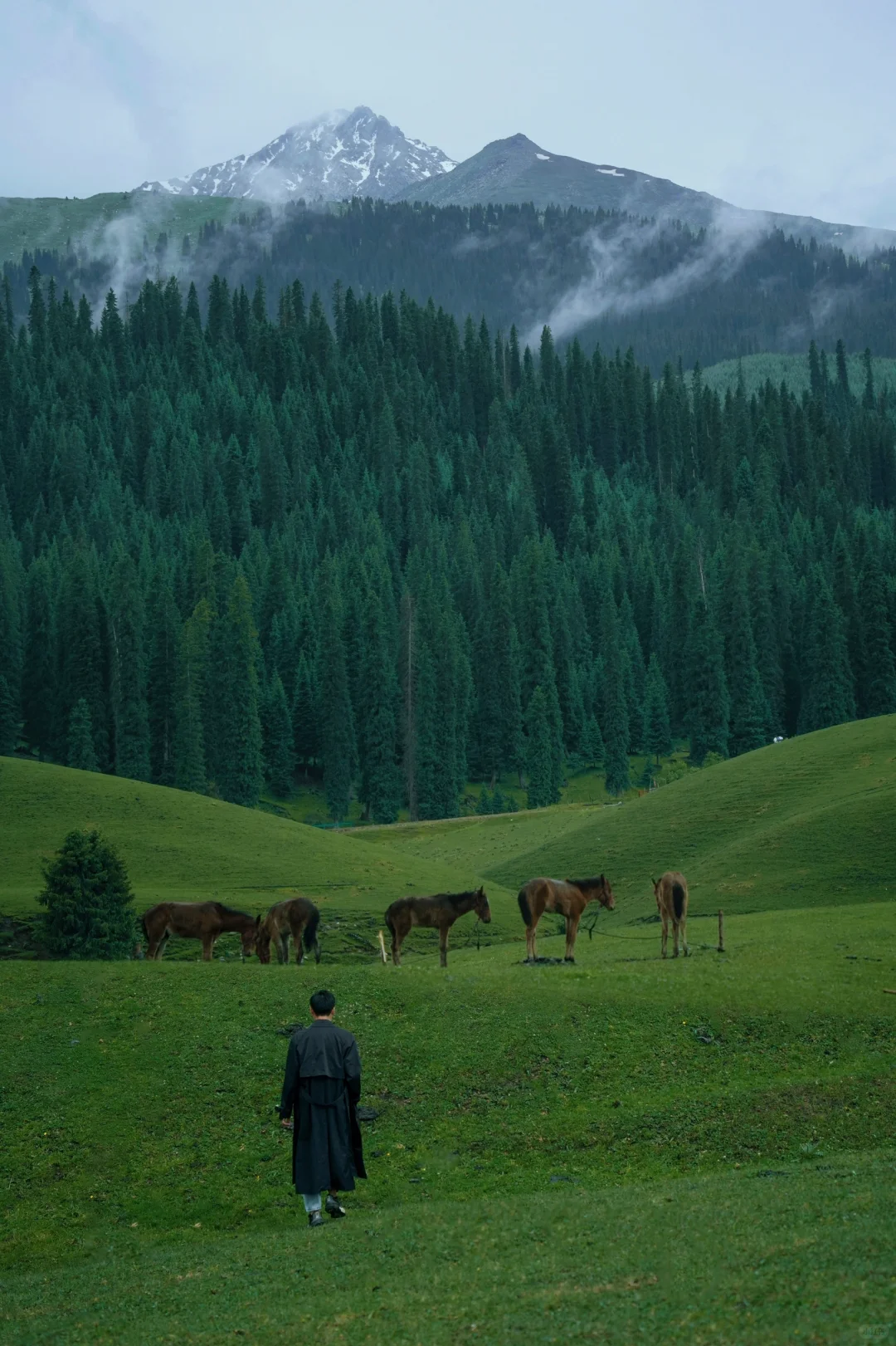 世界慢慢游｜去完9国我真的想一直在路上