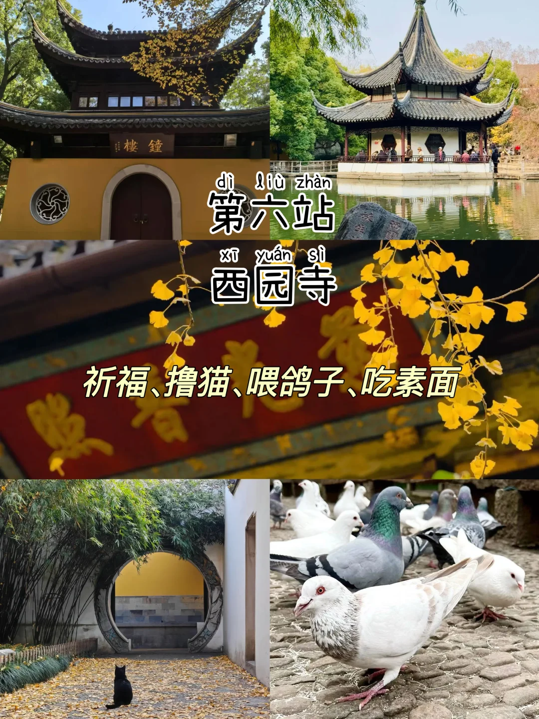 苏州📍三天两夜，不废腿保姆级逛吃攻略‼️