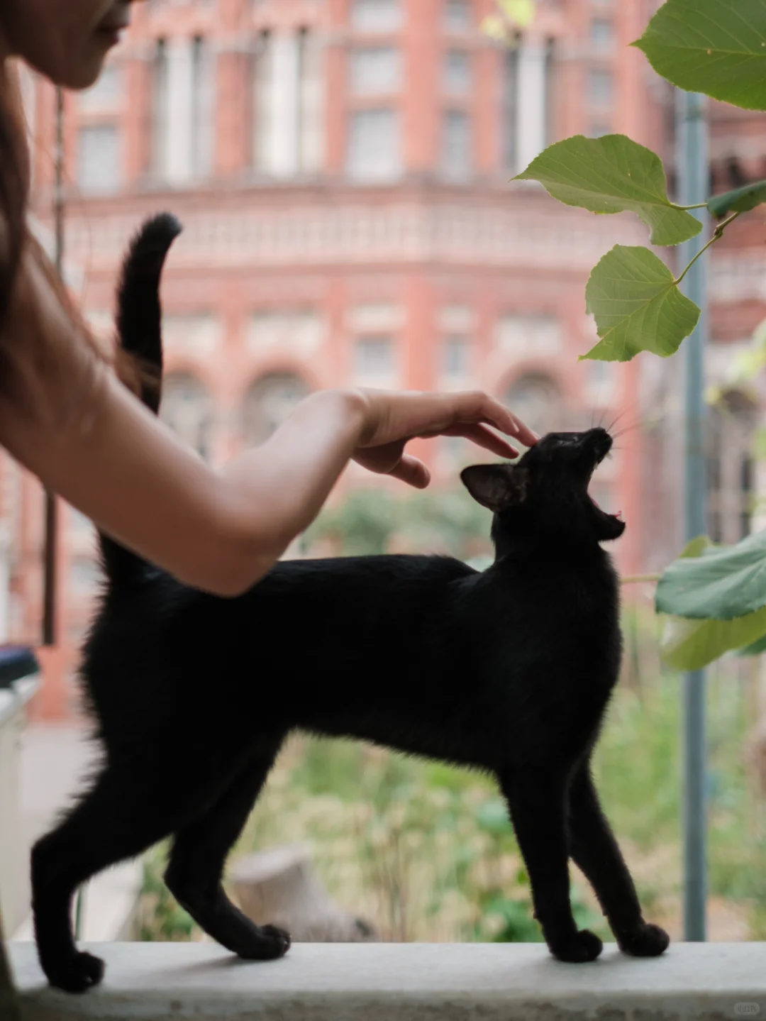 当我终于站在了世界的十字路口