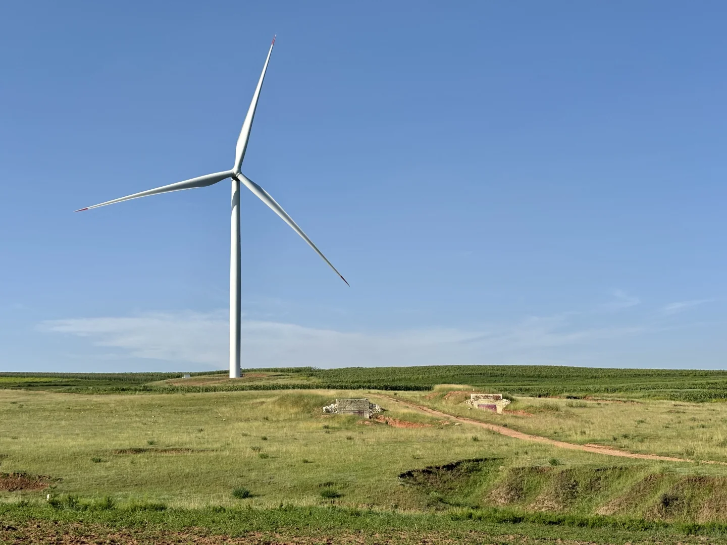 8月14日 在呼和浩特不要再去景区啦