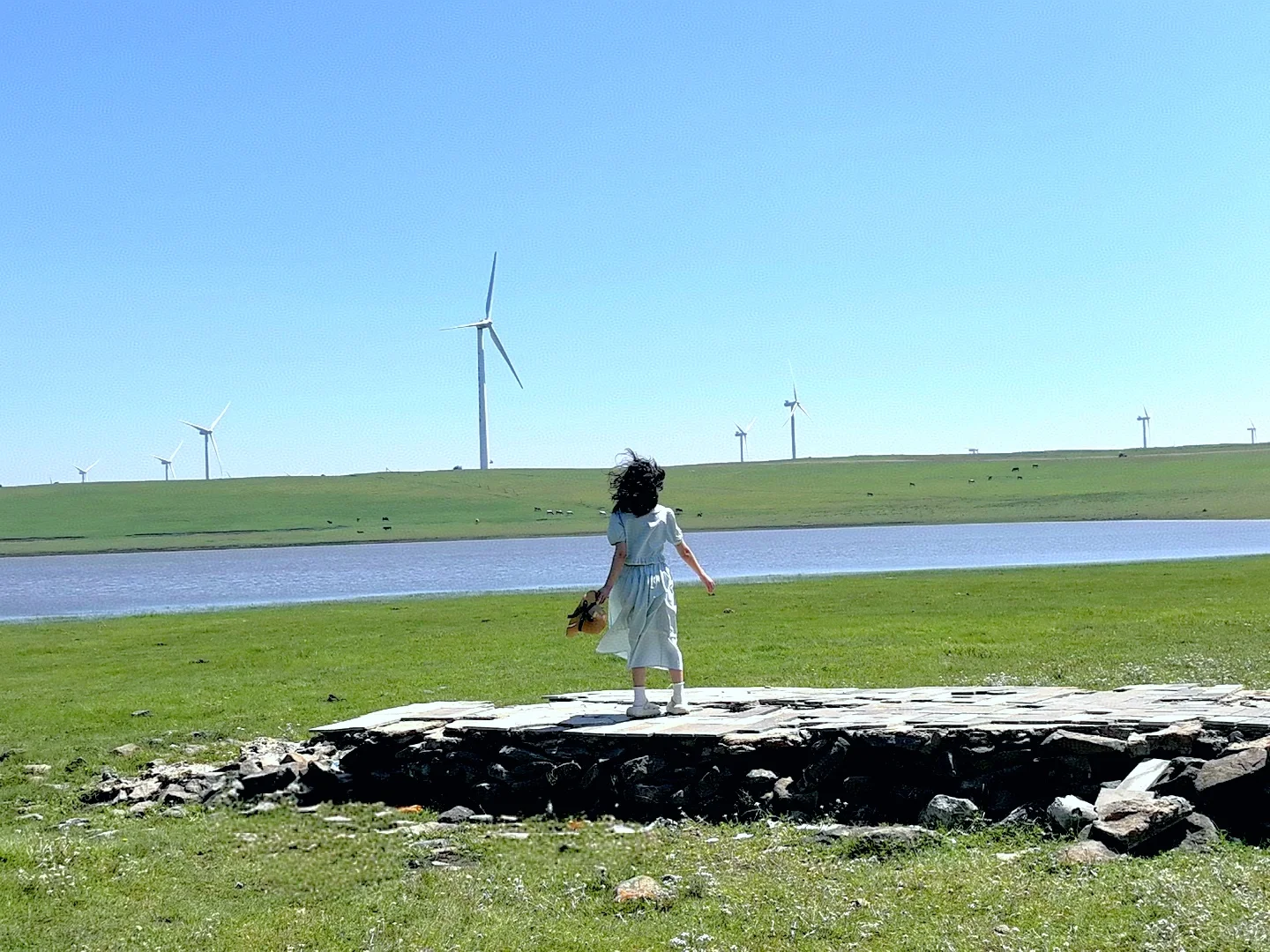 辉腾锡勒草原,牛马的天堂