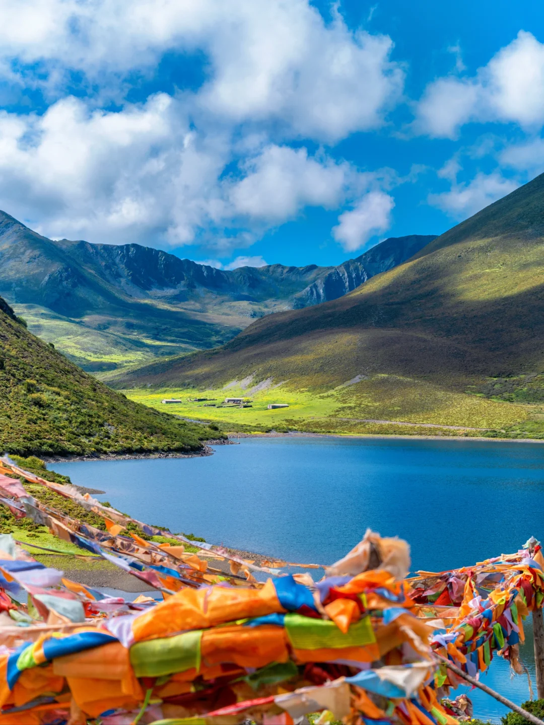 七色海真的是yyds，不去后悔！