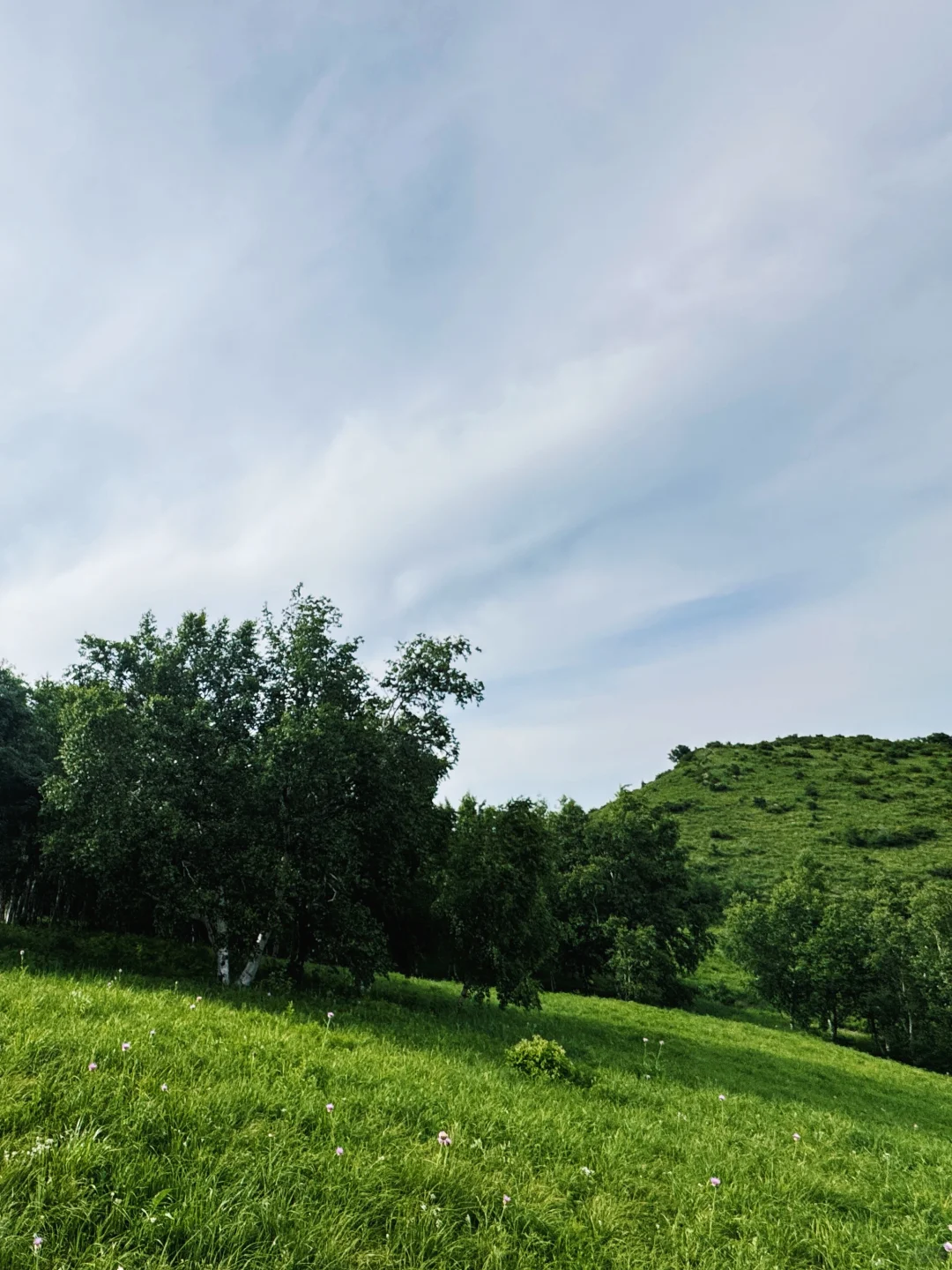 北京2h直达的绿野仙踪