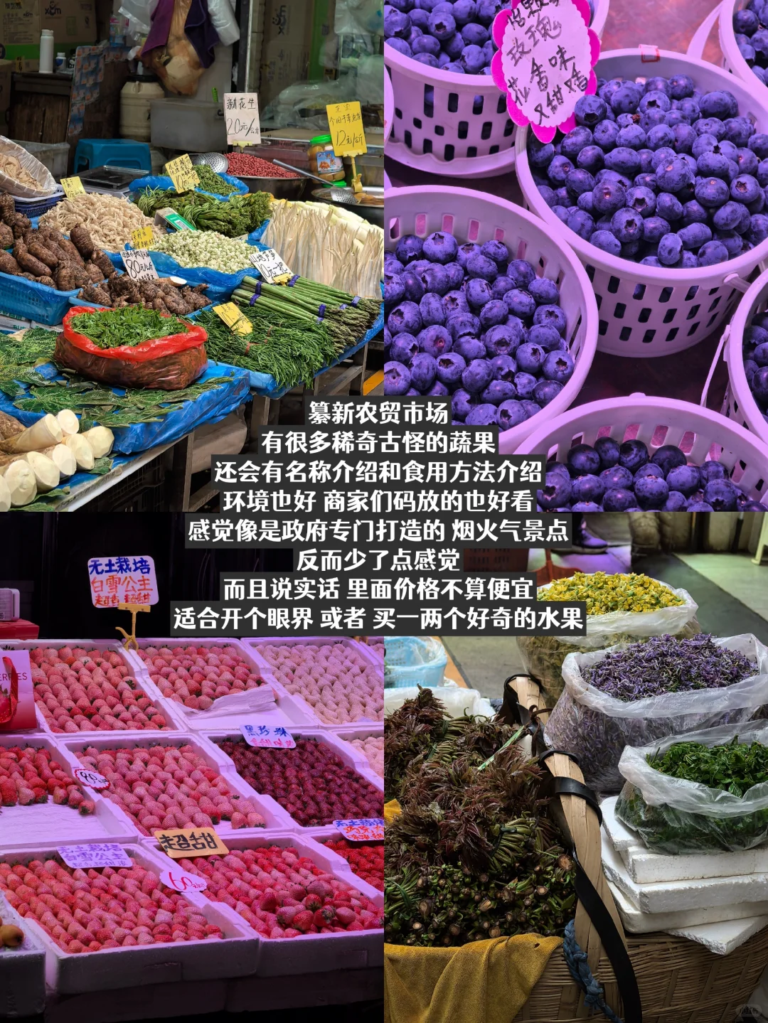 一个人旅行 | 在昆明的三天两夜