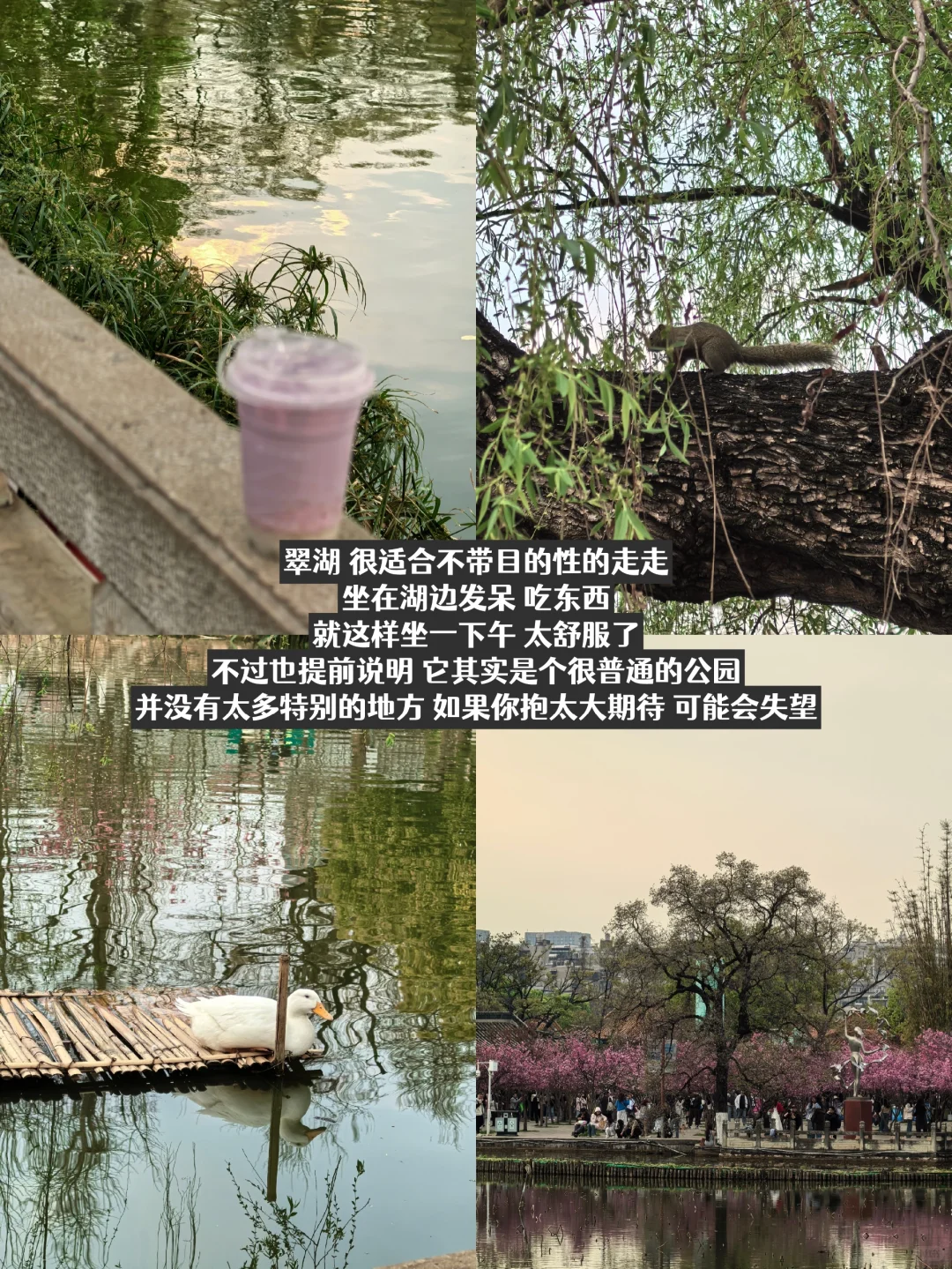 一个人旅行 | 在昆明的三天两夜