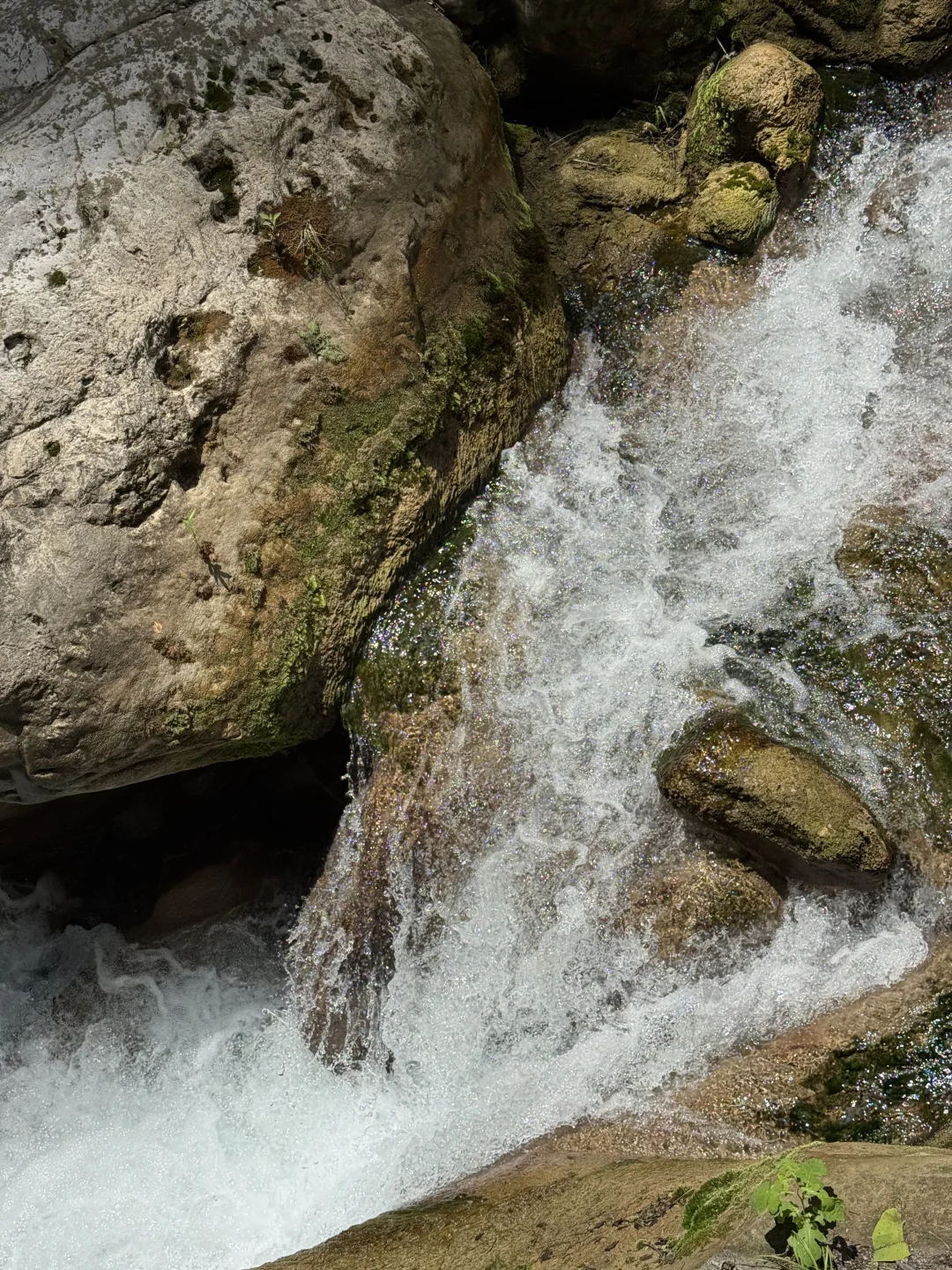 冲进山西25℃翡翠峡谷💦 懒人3h避暑攻略！
