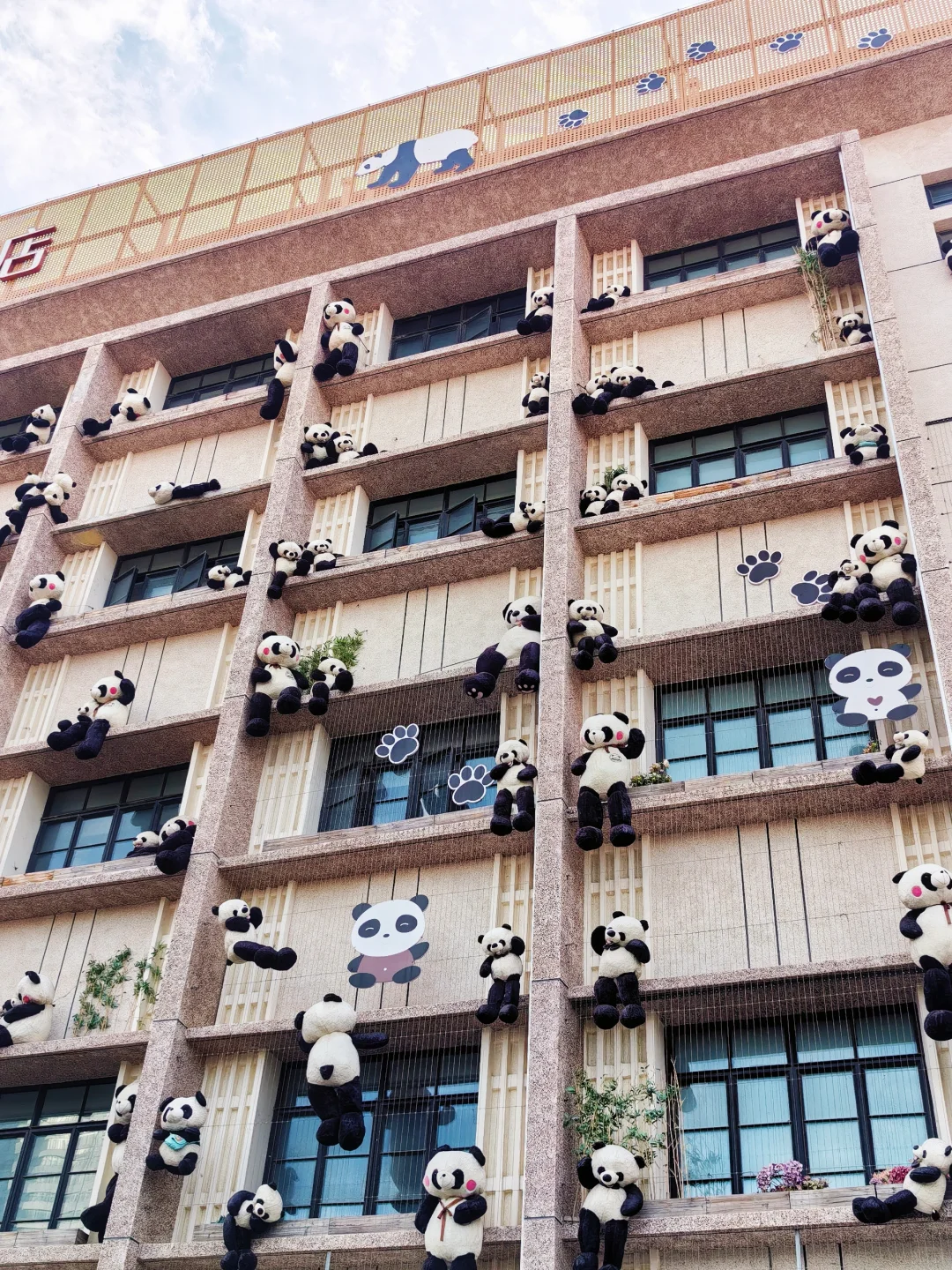 💕烟台‼️最适合ENFJ的地方出现啦