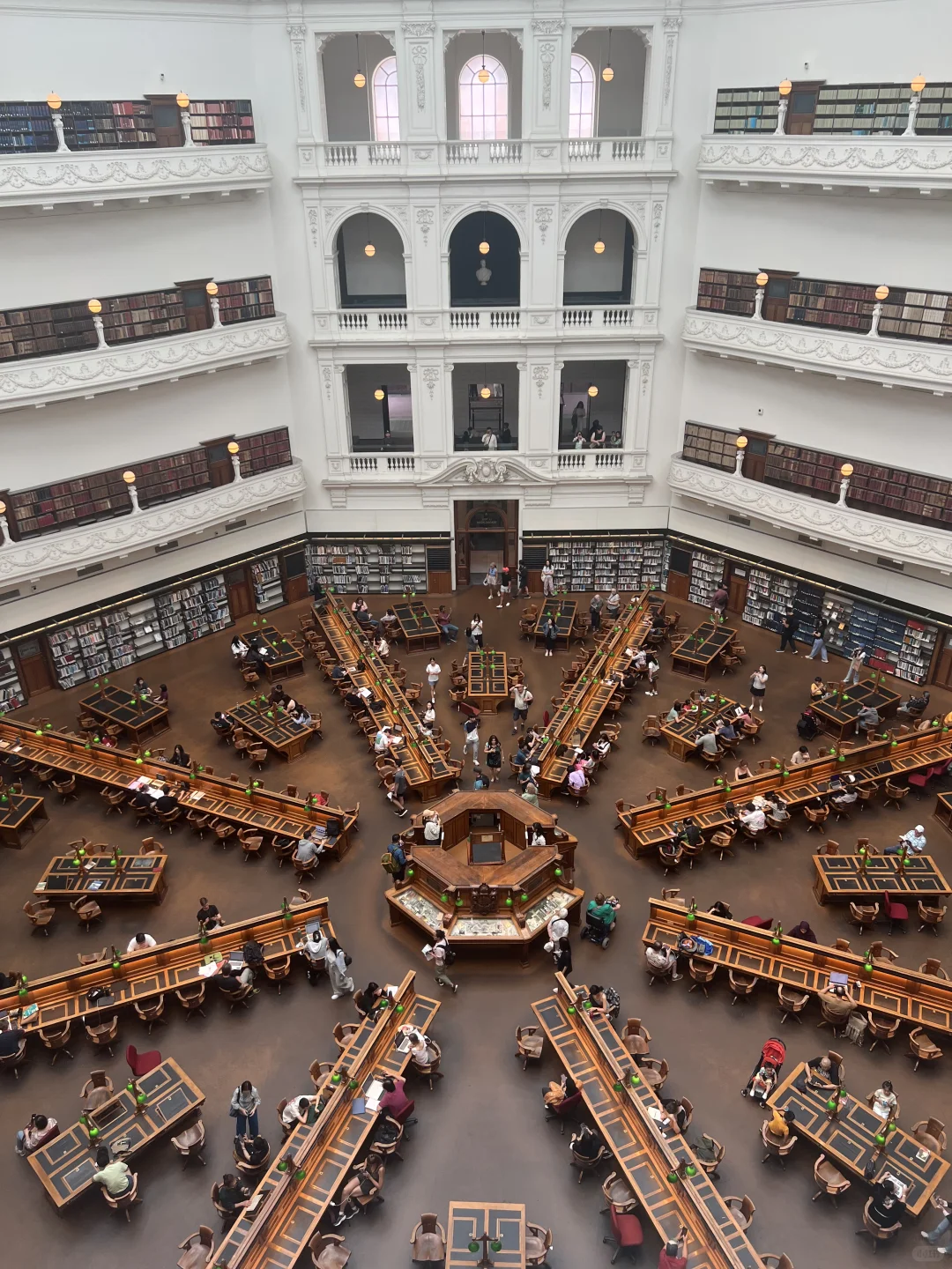 我建议所有第一次出国的人都去澳洲