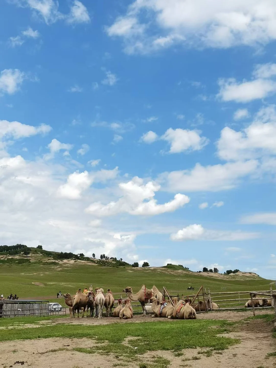8月乌兰布统草原打卡，是惊喜也是错所不及