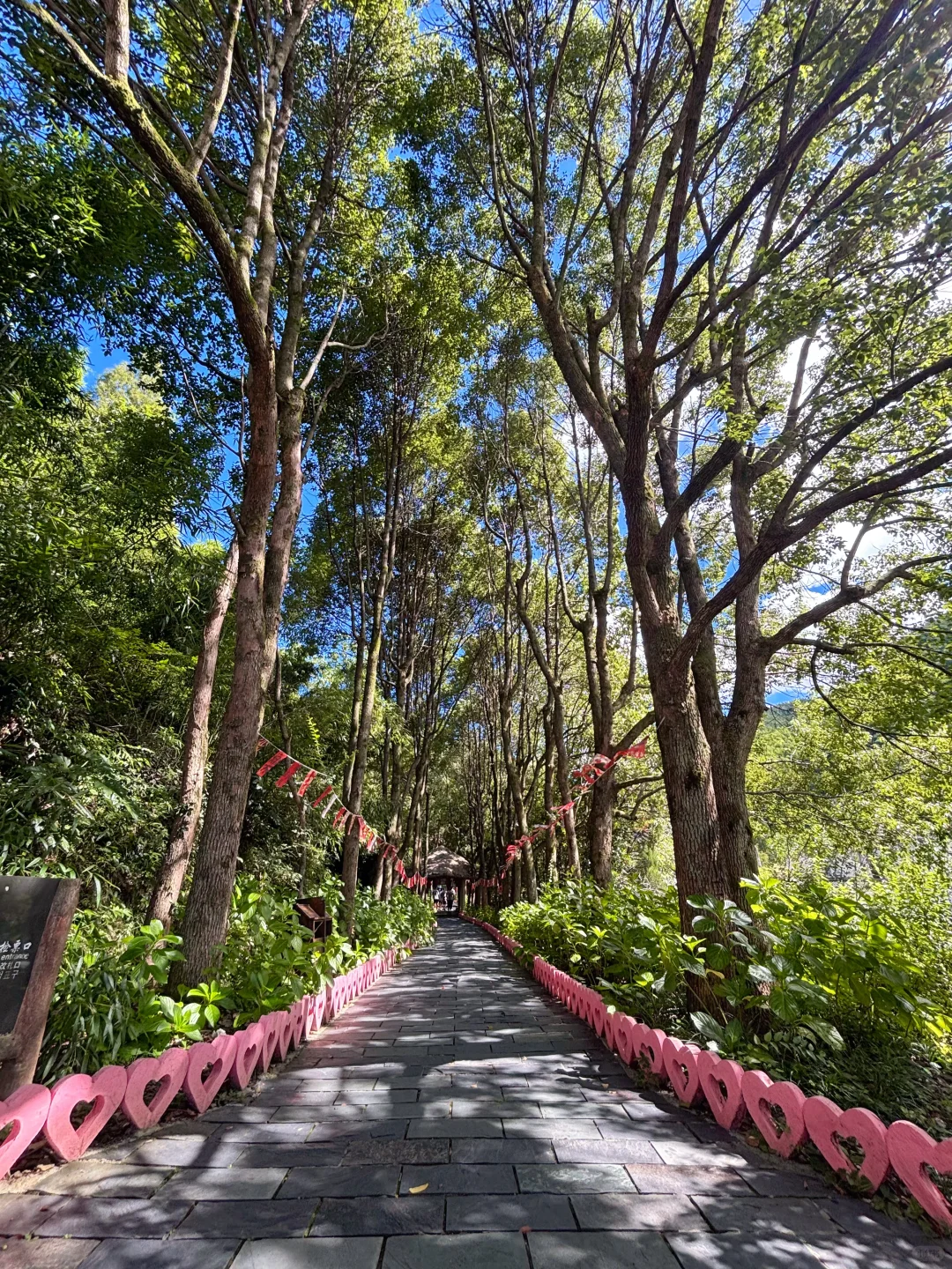 黄山脚下｜翡翠谷景区💦