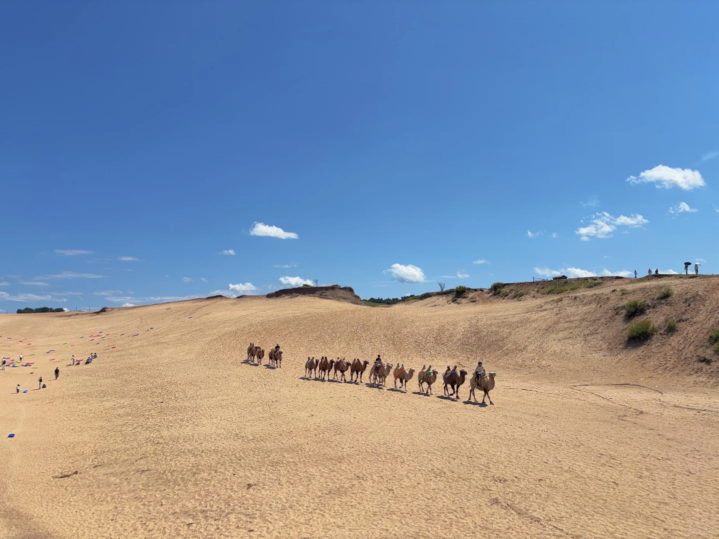 8月乌兰布统草原打卡，是惊喜也是错所不及