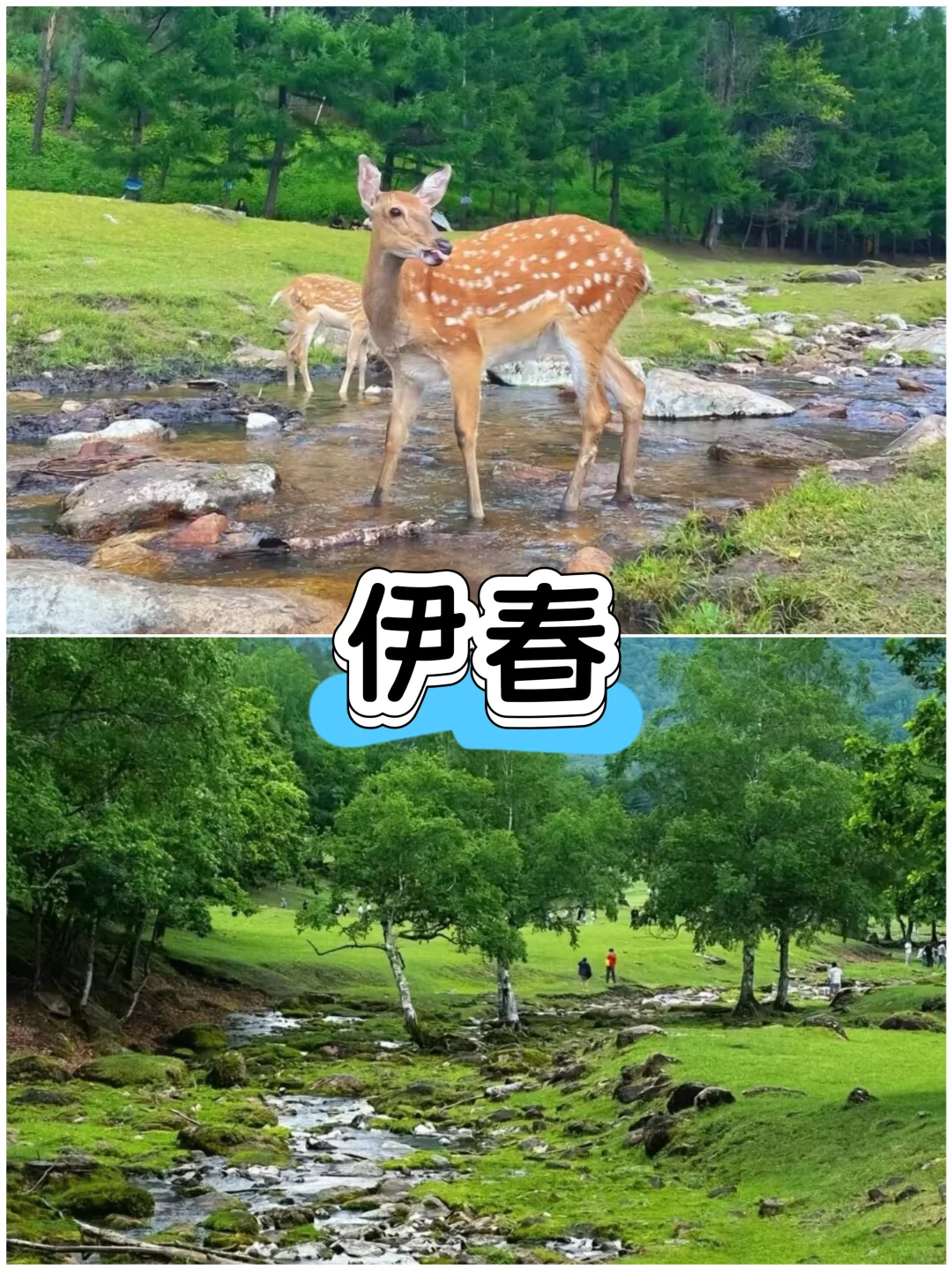 🍃夏天必去的7个城市，凉爽又好玩，速收藏！