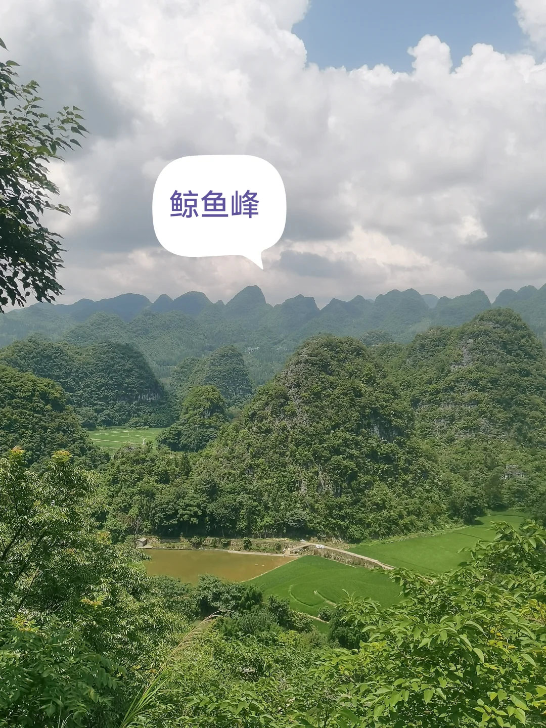 山水田园风光美不胜收———万峰林景区