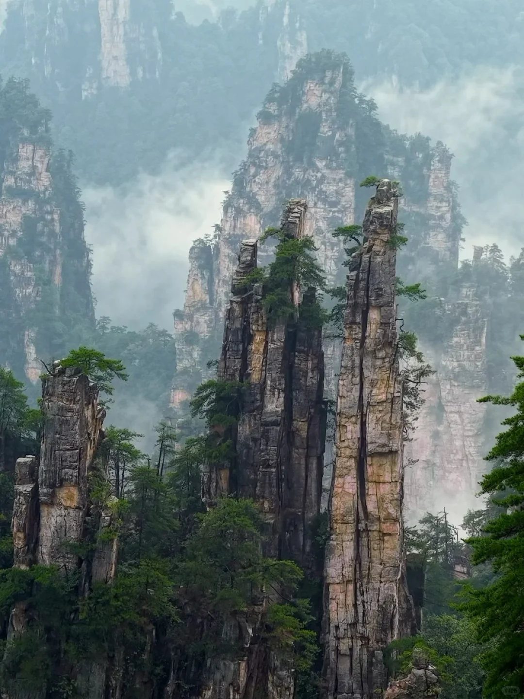 此生必去，我很少用