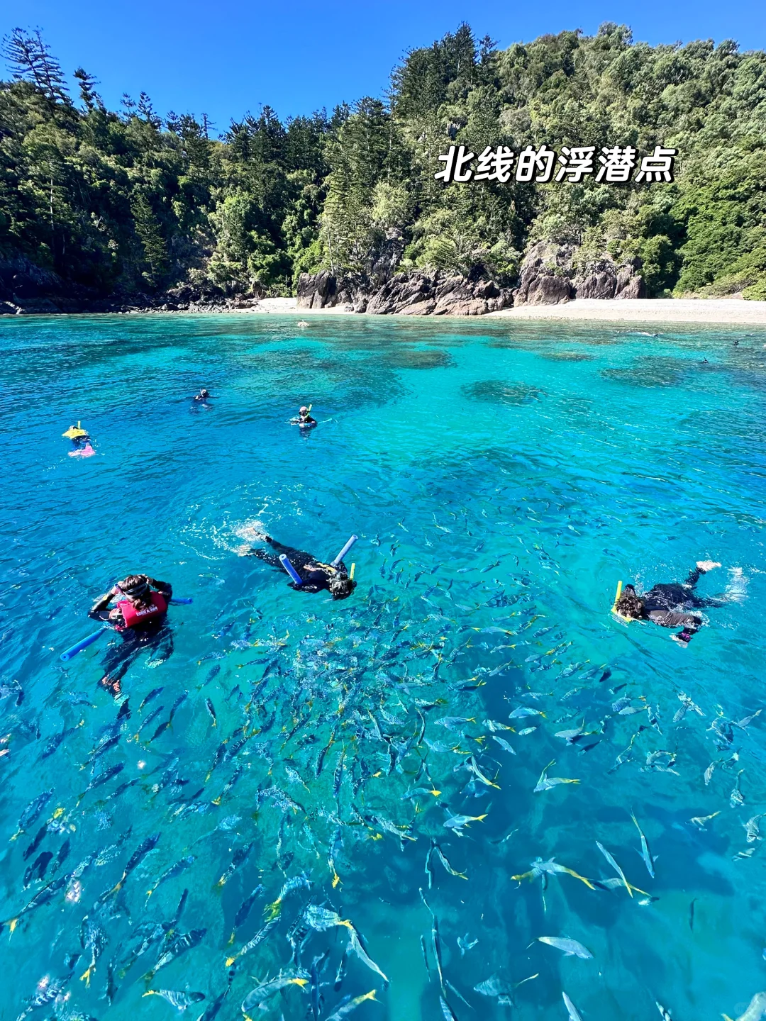 我宣布！这里是我的人生海岛！！😍😍😍