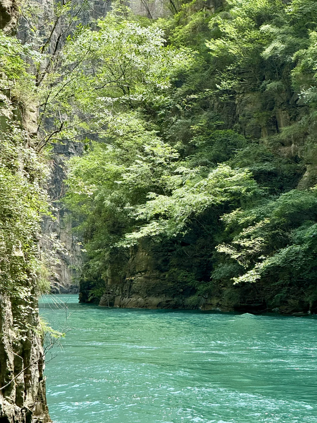 冲进山西25℃翡翠峡谷💦 懒人3h避暑攻略！