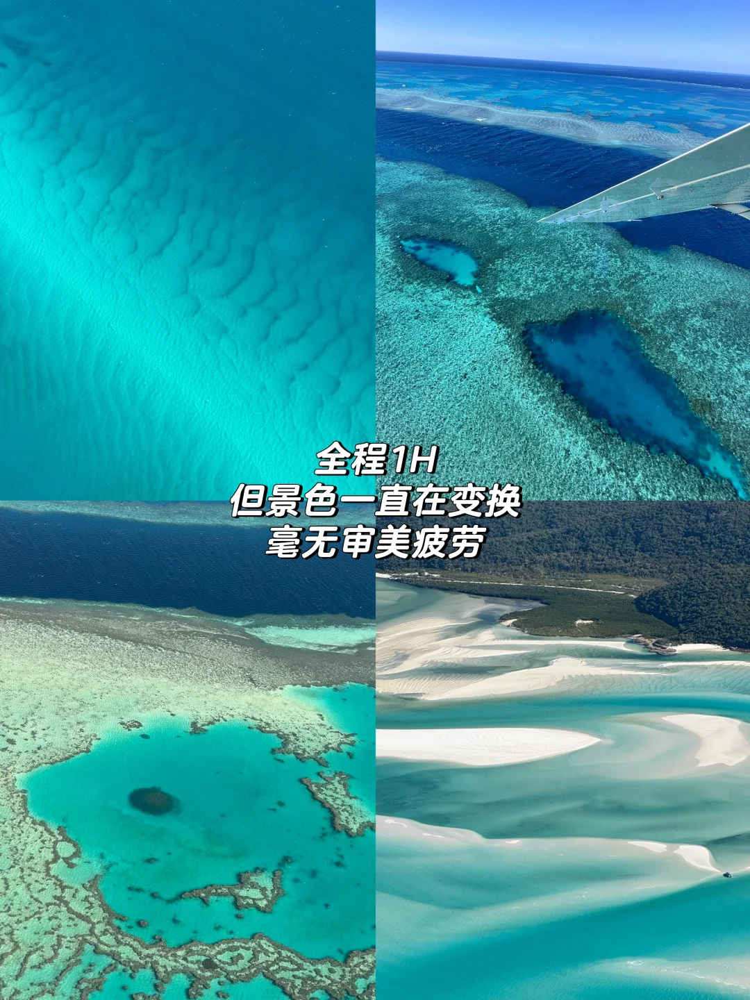 我宣布！这里是我的人生海岛！！😍😍😍