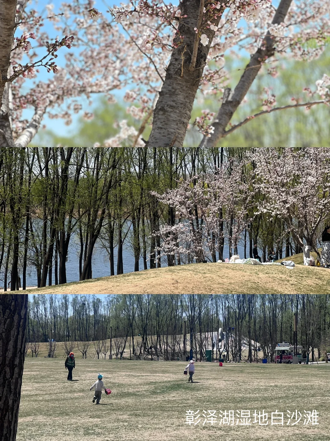 长治两日游｜反向旅游亲子攻略