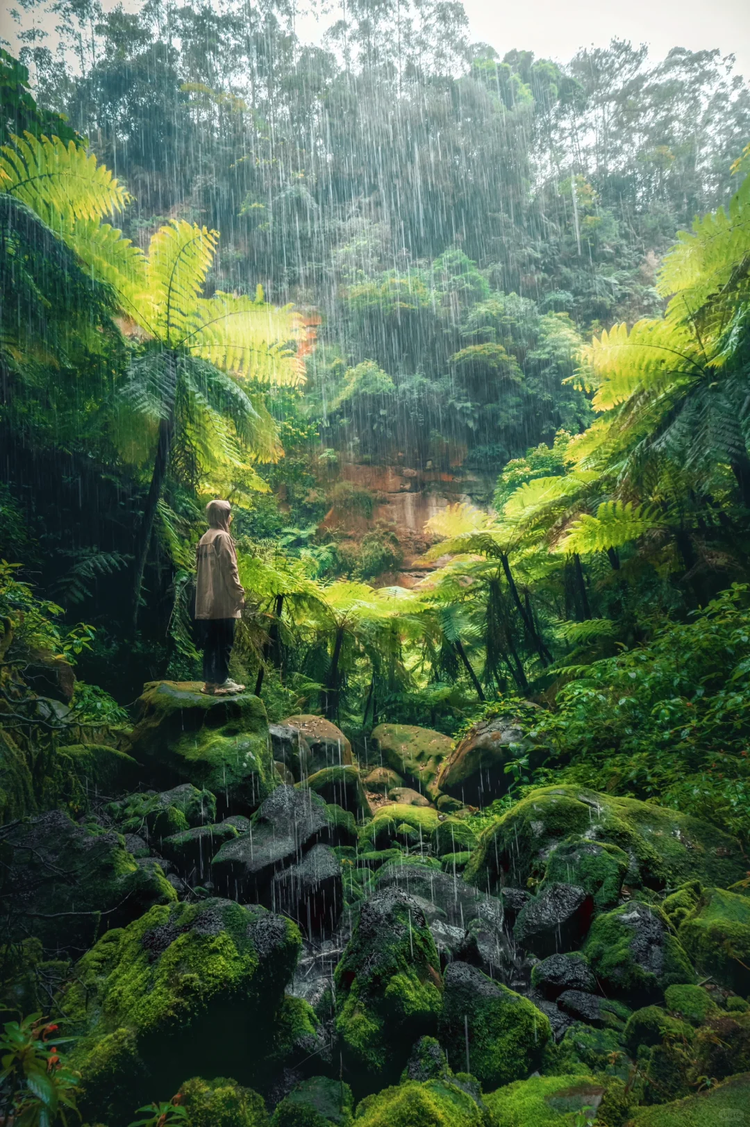 被朋友圈问疯了🤣🤣，都以为我出国了❗️❗️