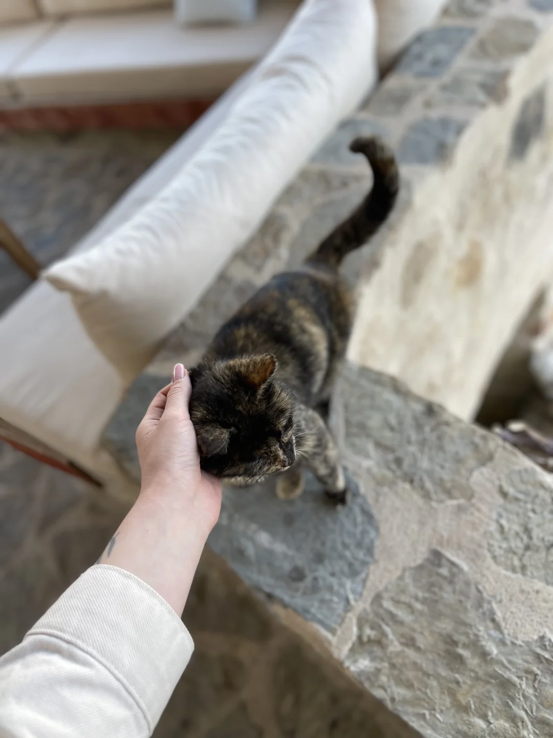 土耳其🇹🇷 Cappadocia