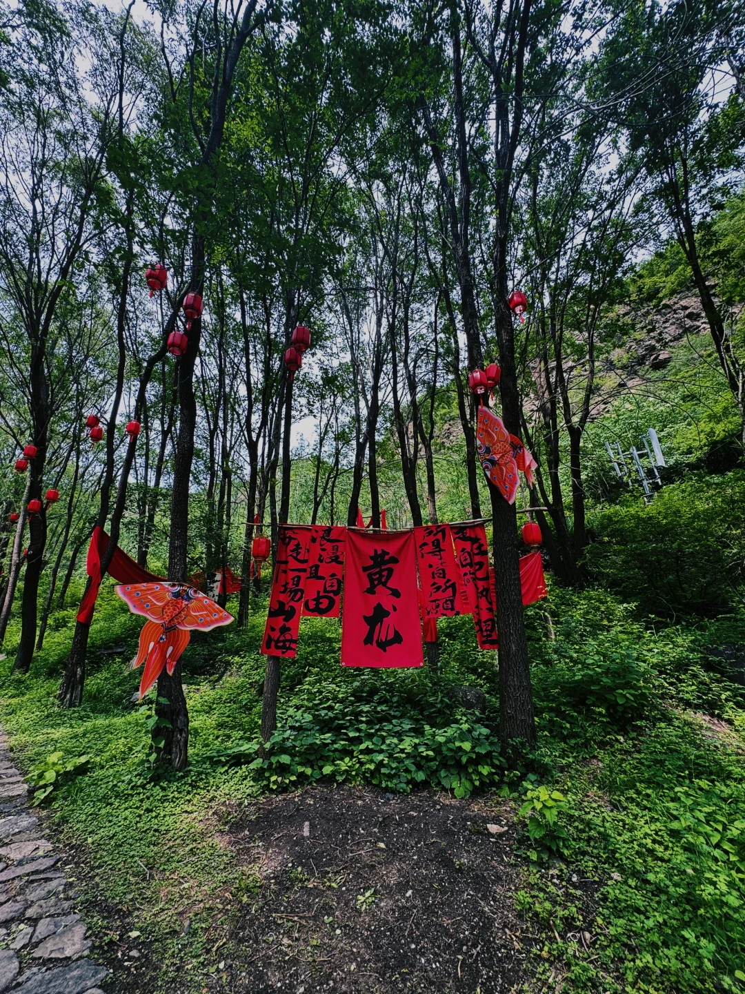 北京2h直达的绿野仙踪