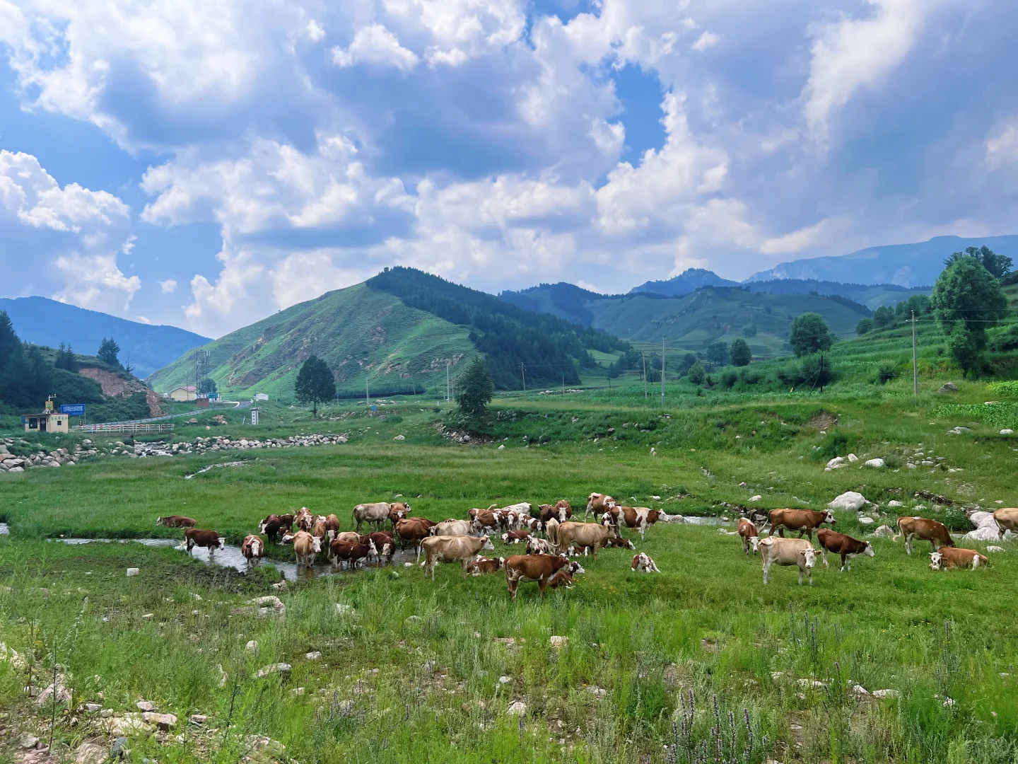 逃离天津｜一个攻略，玩转忻州！