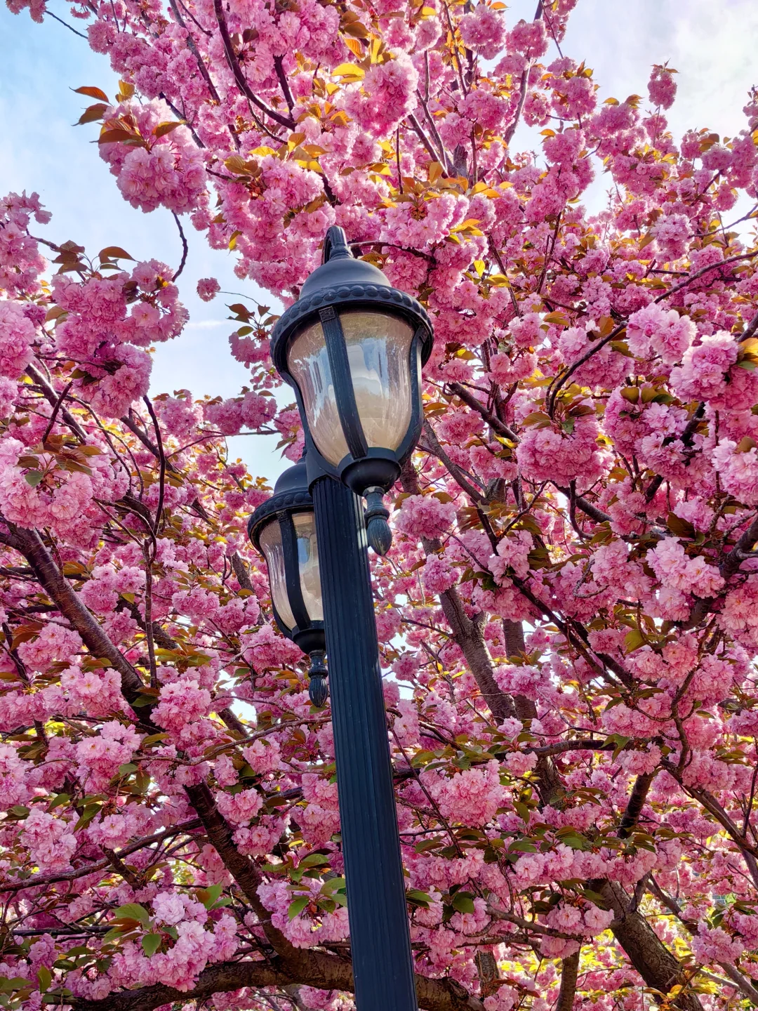 💕烟台‼️最适合ENFJ的地方出现啦