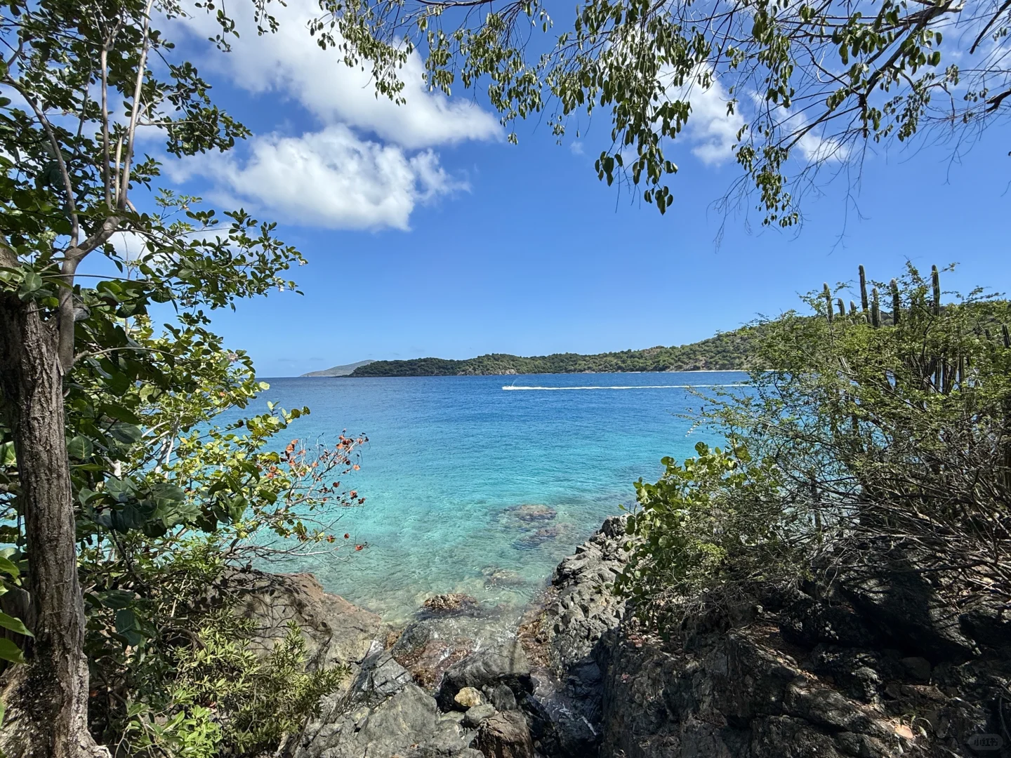 北美牛马一定要去的免签小众宝藏后花园🏝️