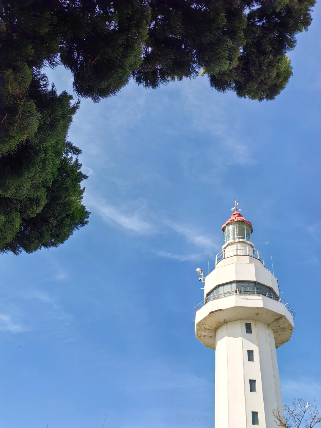 💕烟台‼️最适合ENFJ的地方出现啦