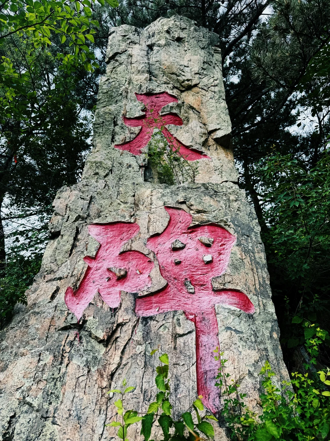 北京2h直达的绿野仙踪