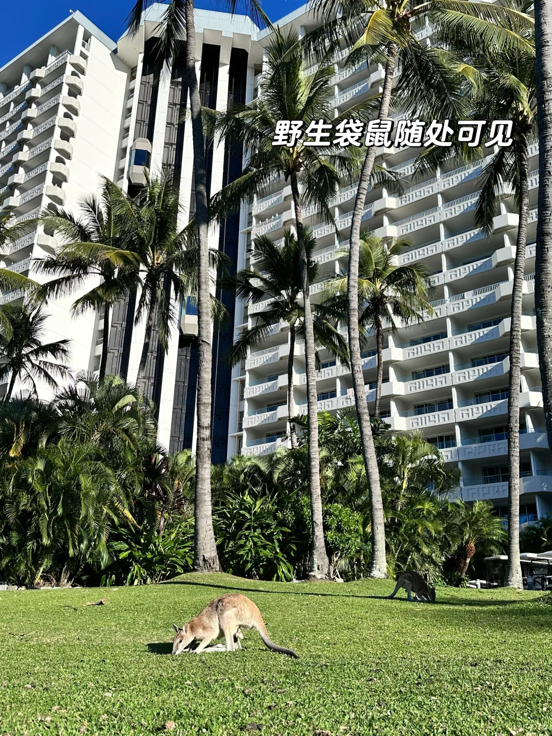 我宣布！这里是我的人生海岛！！😍😍😍