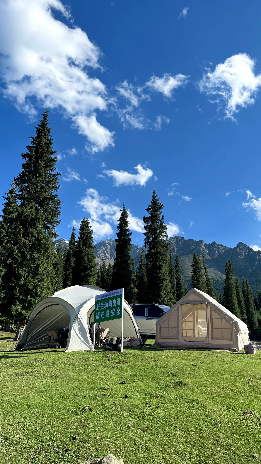 连续一个月周末上山的新疆人去哪里露营1