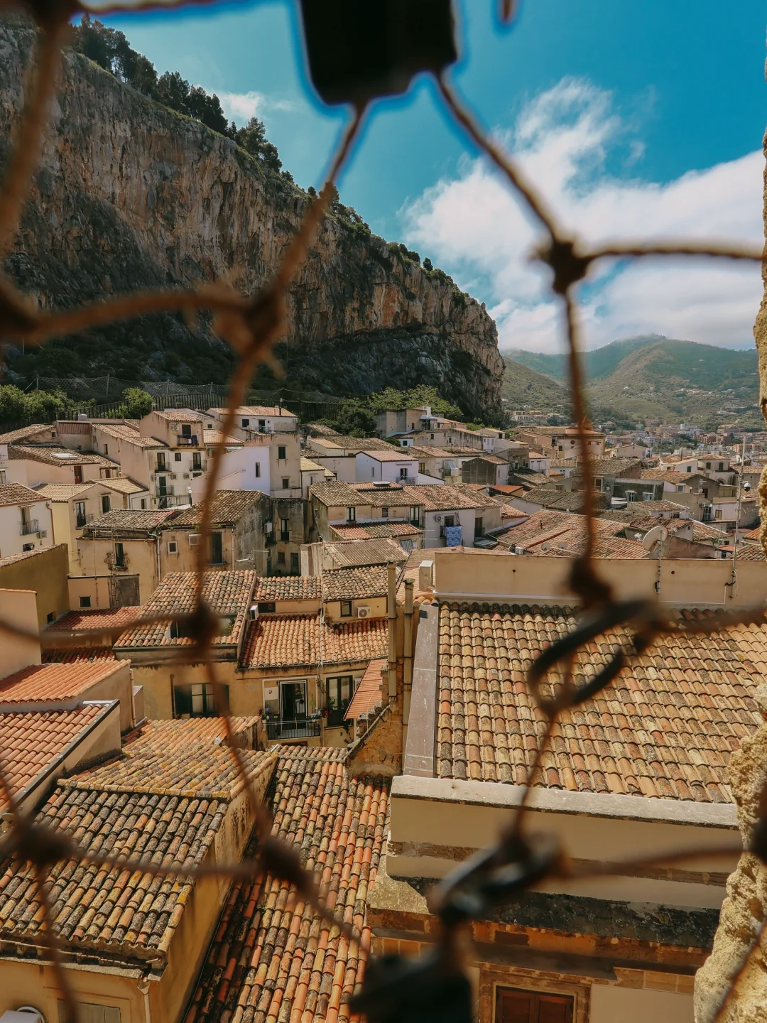西西里永远夏天🦋