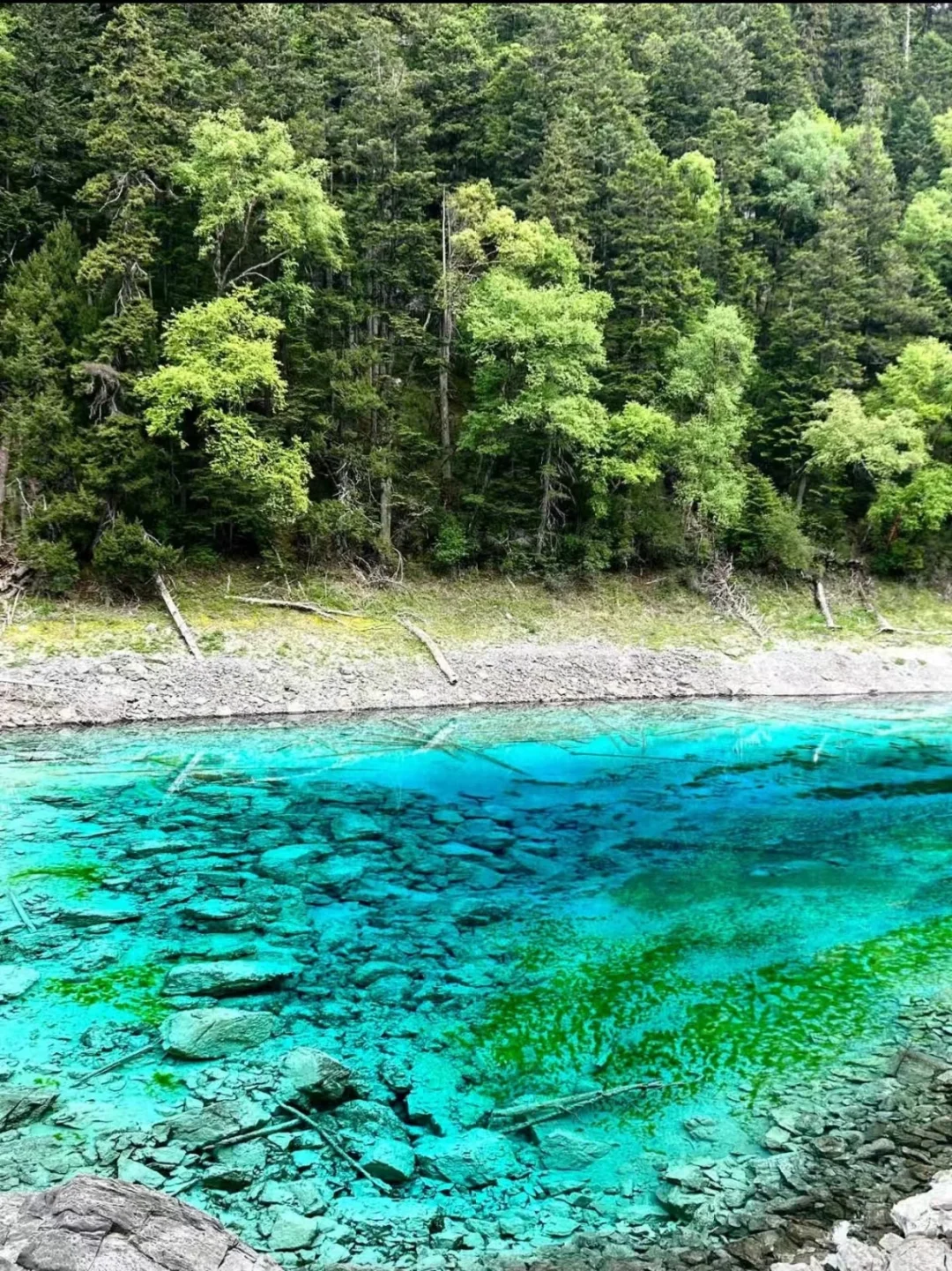 交出你们还想二刷的国外旅行目的地