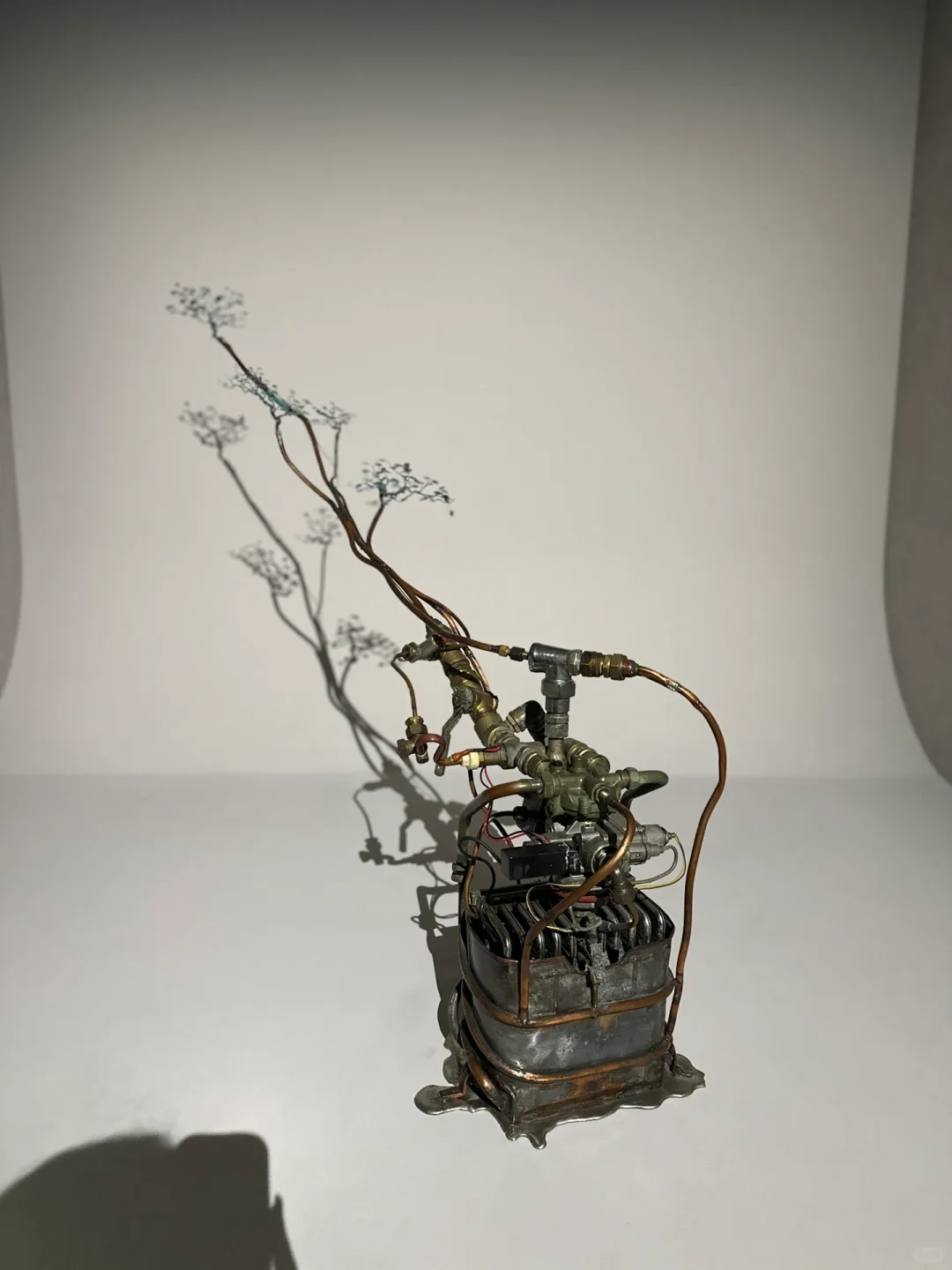 ❓富游与极致穷游的体验区别