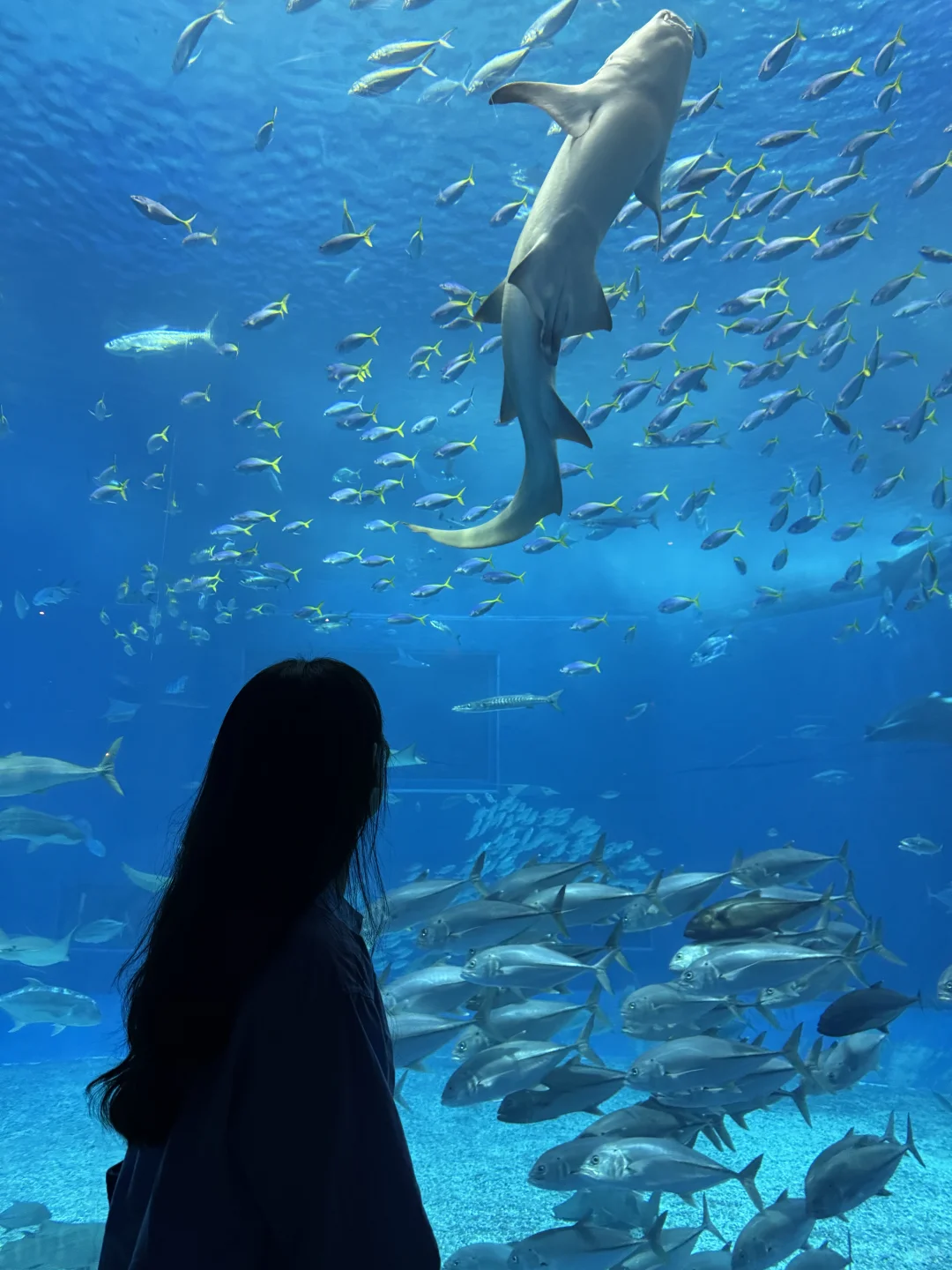 关于一个人去了趟冲绳：