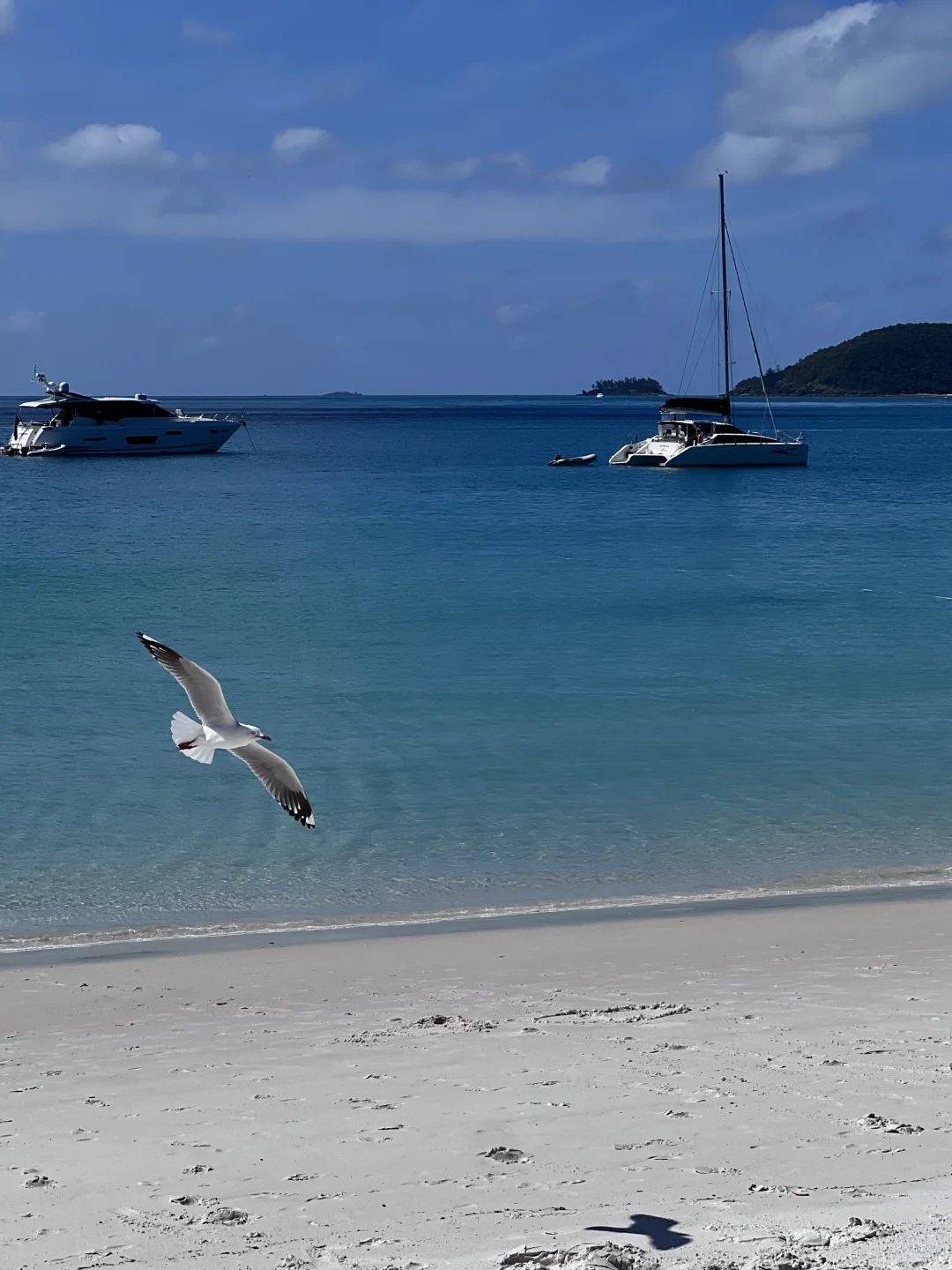 🤍白天堂沙滩🫧圣灵群岛🩵