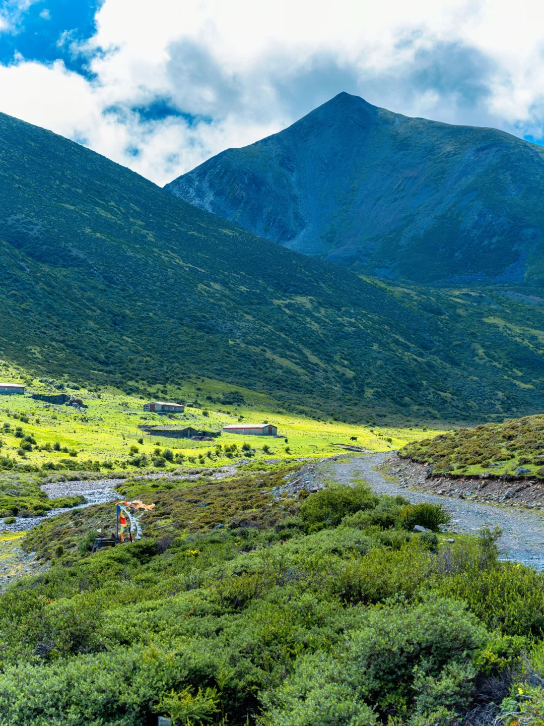七色海真的是yyds，不去后悔！