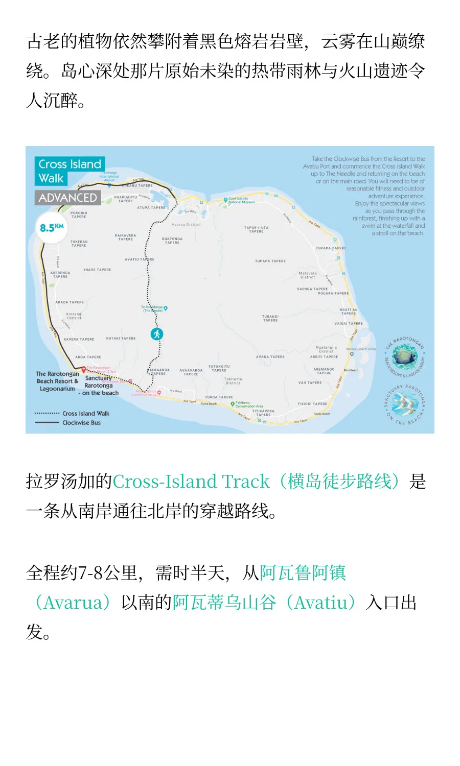 马代不香了！全程免签，海岛控的终极梦想！