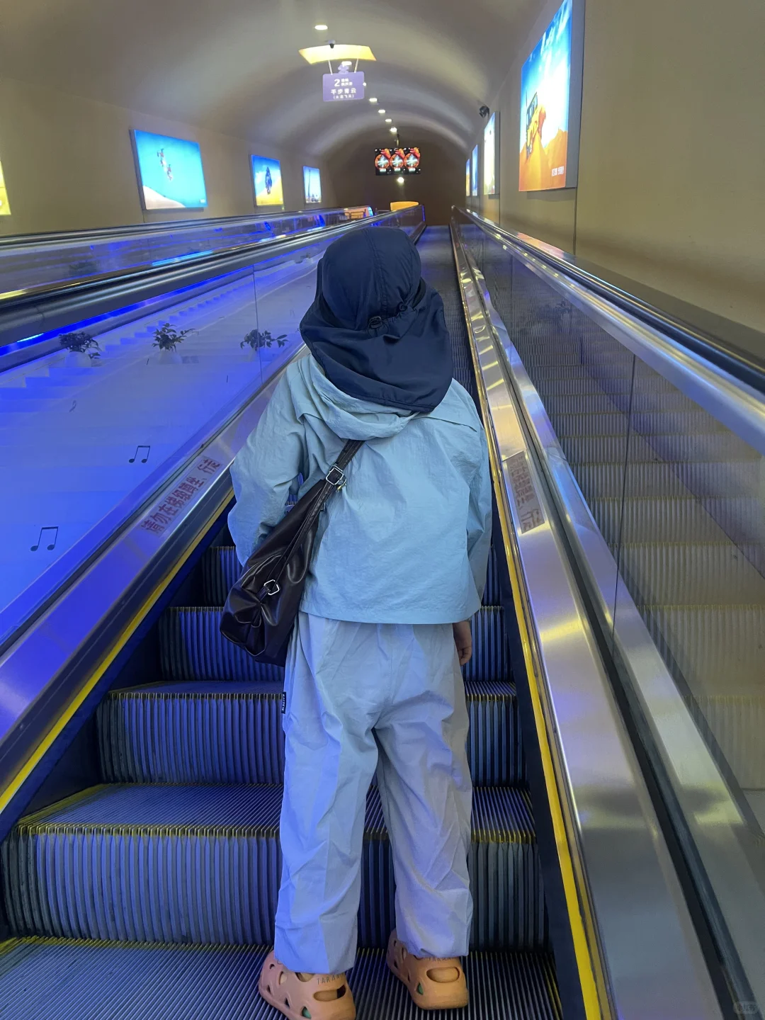 到底谁在避雷沙坡头‼️明明就是儿童友好景区