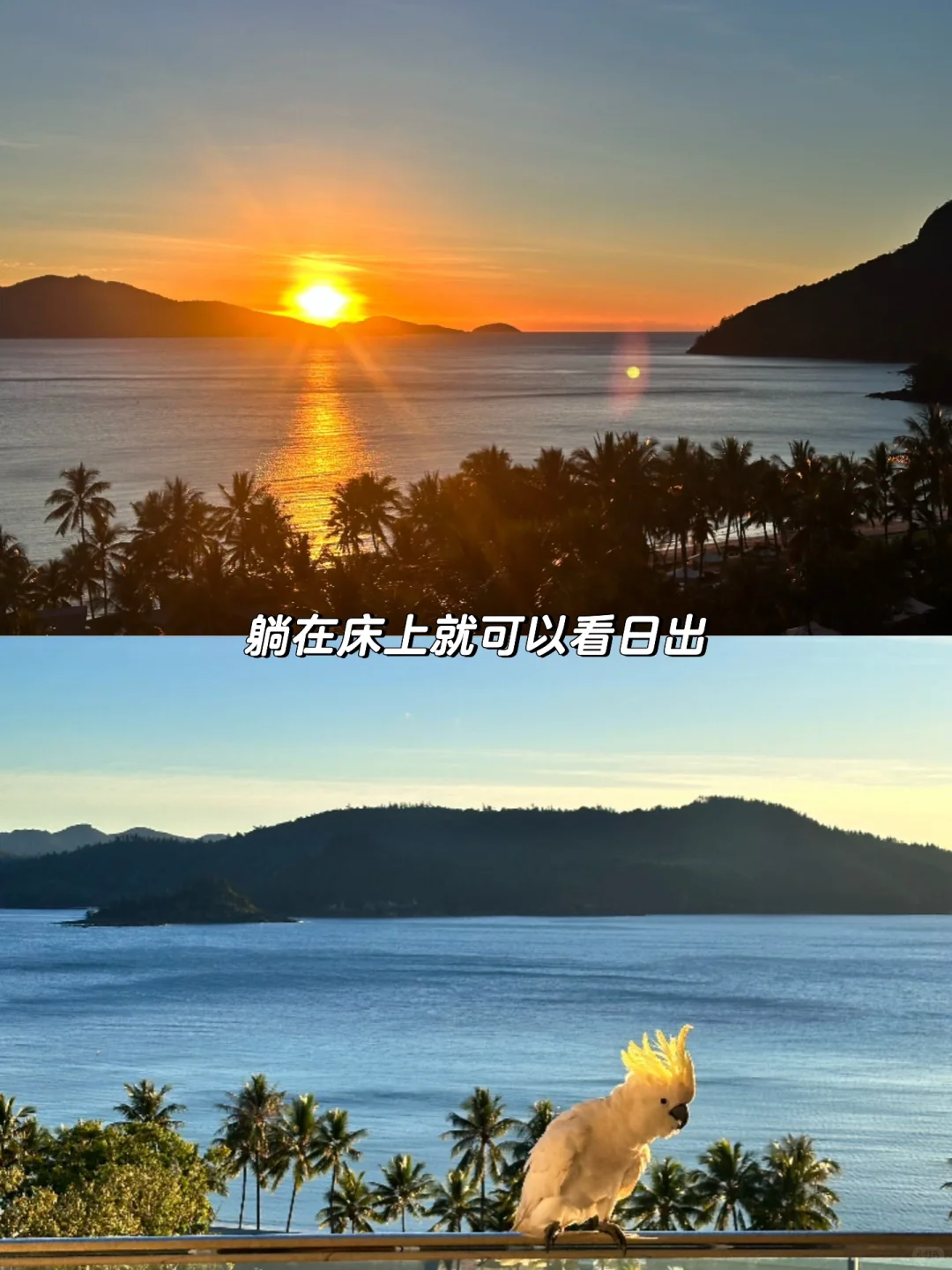 我宣布！这里是我的人生海岛！！😍😍😍