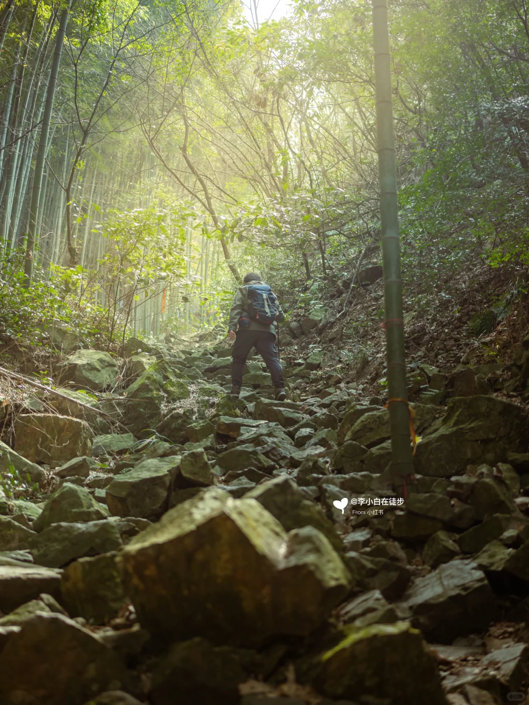 宜兴真的不用避坑！推荐7个小众免费景点